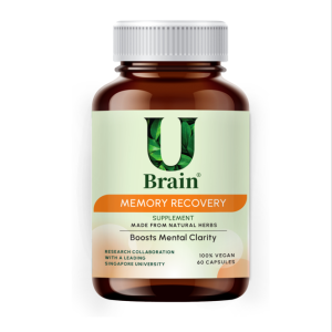 UBrain Memory Recovery